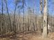 A tranquil wooded landscape with a house partially visible behind a canopy of trees at 2540 Marsha Cir, Cumming, GA 30041