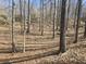 A sunlit wooded area with trees and ground covered in fallen leaves at 2540 Marsha Cir, Cumming, GA 30041