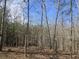 Serene view of wooded land with tall trees under a clear blue sky at 2540 Marsha Cir, Cumming, GA 30041