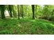 Lush backyard with a creek surrounded by a dense green forest offers a tranquil outdoor space at 3875 Wintergreen Ct, Marietta, GA 30062