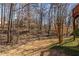 View of the wooded backyard and landscaping at 715 Newport Holw, Alpharetta, GA 30005