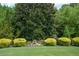 Beautiful backyard showcasing mature trees, lush landscaping, and manicured lawn at 4880 Cecilia Sq, Cumming, GA 30040