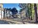 Backyard view of the home with a deck overlooking the wooded lot with tall mature trees at 3075 Elizabeth Ln, Snellville, GA 30078