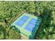 Aerial view of two pristine blue tennis courts surrounded by lush green trees at 845 Connell Ln, Lawrenceville, GA 30044