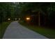 Long, curved driveway lined with vintage style lampposts and dense trees at 535 Waters Way, Fayetteville, GA 30215