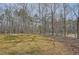 Expansive, partially-wooded backyard featuring grass and trees offers space to roam at 115 Bruce Rd, Douglasville, GA 30134