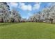 Expansive green lawn surrounded by mature trees leads to a charming brick home at 545 Highway 155 N, Mcdonough, GA 30253