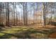 Expansive, shaded backyard with mature trees that offers a serene outdoor space at 210 Wrights Mill Way, Canton, GA 30115