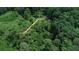 Aerial view of the community walking trail among lush greenery, great for nature lovers at 1322 Stanley Park Dr, Decatur, GA 30033