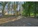 View of the vacant and partially wooded backyard. Awaits the new buyer's imagination at 2006 Conrad Se Ave, Atlanta, GA 30315