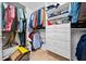Walk-in closet featuring custom shelving and storage solutions at 113 Plumeria St, Canton, GA 30114
