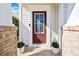 Inviting front door with glass panel, flanked by brick pillars and decorative potted plants at 113 Plumeria St, Canton, GA 30114