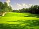 Scenic view of a well-maintained green golf course surrounded by tall trees on a partly cloudy day at 4434 Oglethorpe Nw Loop, Acworth, GA 30101