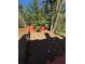 View of the empty backyard which is surrounded by a fence and foliage, providing a secluded outdoor space at 1098 Westfield Se Trce, Smyrna, GA 30082
