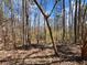 Wooded backyard view showcasing a natural landscape with bare trees and foliage at 1755 Presidents Dr, Lawrenceville, GA 30043