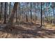 Lush backyard and wooded scenery at 5327 Saville Nw Dr, Acworth, GA 30101