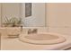 Close-up of bathroom sink with vintage faucet, white counter, potted plant, and ornate mirror at 6035 Wintergreen Rd, Norcross, GA 30093
