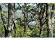 Picturesque wooded view through trees with a lake visible in the distance at 330 Tupelo Trl, Canton, GA 30114