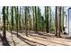 Backyard space surrounded by trees, offering a private and natural setting, perfect for outdoor enjoyment and serenity at 5199 Mainstreet Park Dr, Stone Mountain, GA 30088
