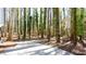 Spacious backyard with a concrete patio area, offering ample space for outdoor activities and relaxation among the trees at 5199 Mainstreet Park Dr, Stone Mountain, GA 30088