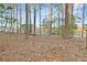 Backyard view featuring a shed nestled among trees, offering a private and natural setting at 2316 Ridge View Dr, Loganville, GA 30052