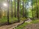 Lush creek surrounded by tall trees in a peaceful, wooded setting at 150 Melody Ln, Fayetteville, GA 30215