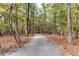 A long driveway leads to the home, surrounded by mature trees and nature at 150 Melody Ln, Fayetteville, GA 30215