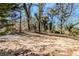 View of the backyard with mature trees at 238 Howell Sw Dr, Atlanta, GA 30331