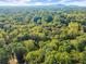 Expansive aerial view of lush green treetop forest at 275 Waverly W Trce, Roswell, GA 30075