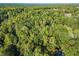 Lush, tree-filled aerial view showcasing the surrounding wooded landscape and potential privacy of this property at 275 Waverly W Trce, Roswell, GA 30075