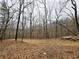 View of the land with fallen leaves and bare trees, showcasing the natural setting at 1344 Brushy Mountain Rd, Rockmart, GA 30153