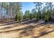 This backyard provides privacy and space, surrounded by tall trees and secure fencing at 39 Telfair Ct, Acworth, GA 30101