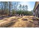 Expansive backyard featuring manicured lawn and mature trees, perfect for outdoor activities at 39 Telfair Ct, Acworth, GA 30101