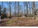Large private backyard surrounded by mature trees; offers a tranquil setting at 3911 Ivy Ne Rd, Atlanta, GA 30342