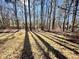 Expansive backyard featuring mature trees and lush green lawn at 884 Poole Bridge Rd, Hiram, GA 30141