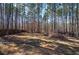 Empty backyard with bordered section for desired use, surrounded by many trees at 26 Wey Bridge Ct, White, GA 30184