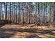 View of backyard with mature trees and a wooded landscape at 26 Wey Bridge Ct, White, GA 30184