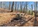 Backyard seating area surrounded by a stone border and mature trees creating a relaxing outdoor experience at 4411 Windsor Oaks Cir, Marietta, GA 30066