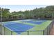 The community features well-maintained tennis courts with blue surfaces and green perimeters at 165 Ansley Way, Roswell, GA 30075