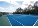 Bright blue community tennis courts bordered by trees and next to a large lake offer scenic views at 625 Huiet Dr, Mcdonough, GA 30252