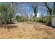 Large backyard with mature trees at 1891 W Forrest Ave, Atlanta, GA 30344