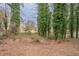 View of the spacious backyard featuring trees with green leaves and a small house at 123 Williamsburg Ln, Woodstock, GA 30189