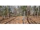 Backyard featuring trees and a shed at 6575 Riley Rd, Cumming, GA 30028