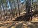 Natural backyard area with trees at 4161 Dean Grove Way, Loganville, GA 30052