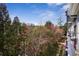 A serene balcony view showcasing lush greenery and mature trees under a bright blue sky at 2921 Lenox Rd # 308, Atlanta, GA 30324