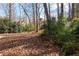 Large leafy backyard featuring mature trees, a charming bench, and landscape features at 3640 Shelby Ln, Marietta, GA 30062