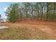 Backyard featuring a grassy lawn, trees, and view of neighboring houses at 3308 Hunting Creek Pass, Douglasville, GA 30135