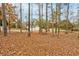 Spacious backyard featuring mature trees, lush green grass, and the home in background at 504 Leguin Mill Rd, Locust Grove, GA 30248