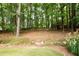 Wooded backyard with natural areas, offering privacy and potential for outdoor activities at 3045 Camp Branch Rd, Buford, GA 30519