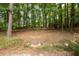 Wooded backyard with natural areas, offering privacy and potential for outdoor activities at 3045 Camp Branch Rd, Buford, GA 30519